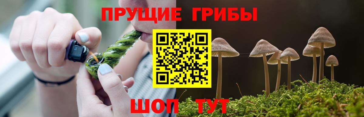 Псилоцибиновые грибы ЛСД  Галлюциногенные грибы мухоморы  Вход с VPN  купить закладку  Феодосия 
